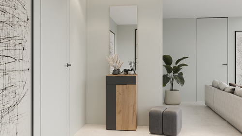 Набор мебели для прихожей стандартный «Асти»