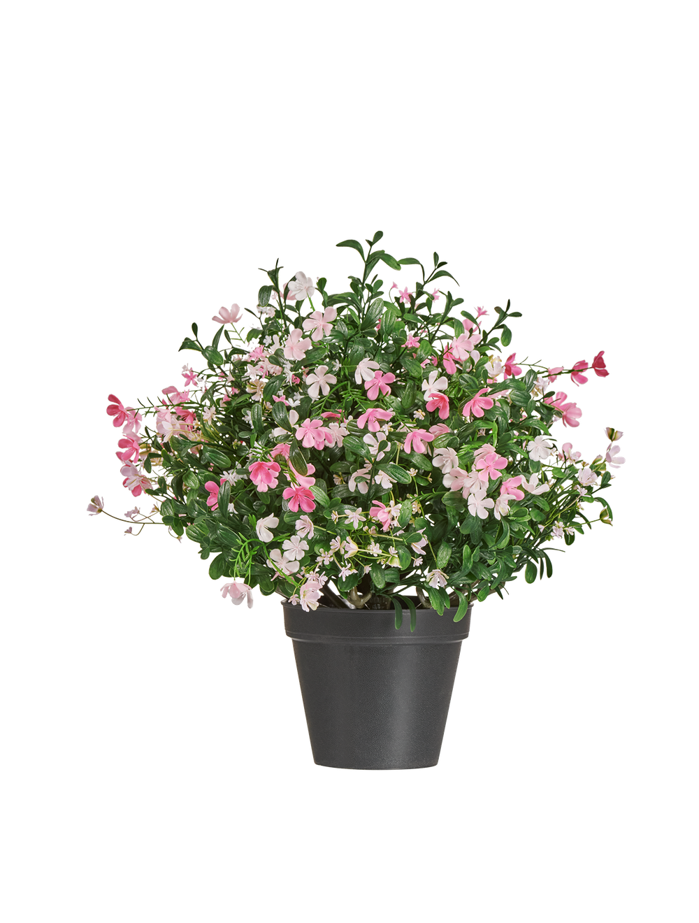 Антуриум Де Люкс большой куст красный в-75 см в горшке 2/2 20.1109R