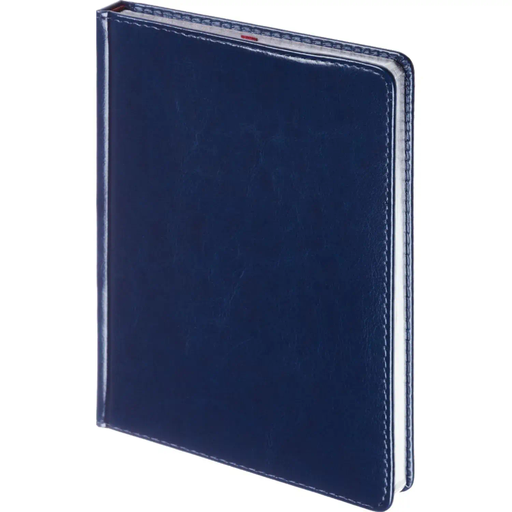 Ежедневник недатированный А5 Sidney Nebraska, син,сер.обрез,272стр 3-128/12