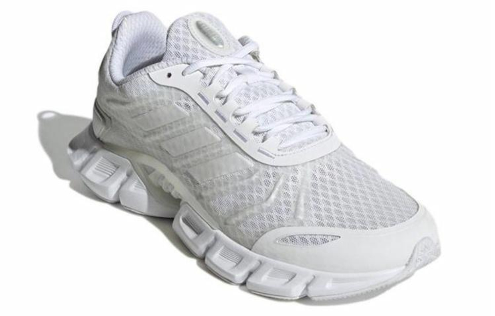 Кроссовки Adidas Climacool