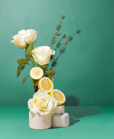 Позолоченная роза и ель (Gilded rose & Spruce)