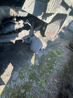 Shacman (Shaanxi) SX* 8x4 Самосвал SX33186T366 (Дизельный, 11,6 л, 369 л.с., МТ)