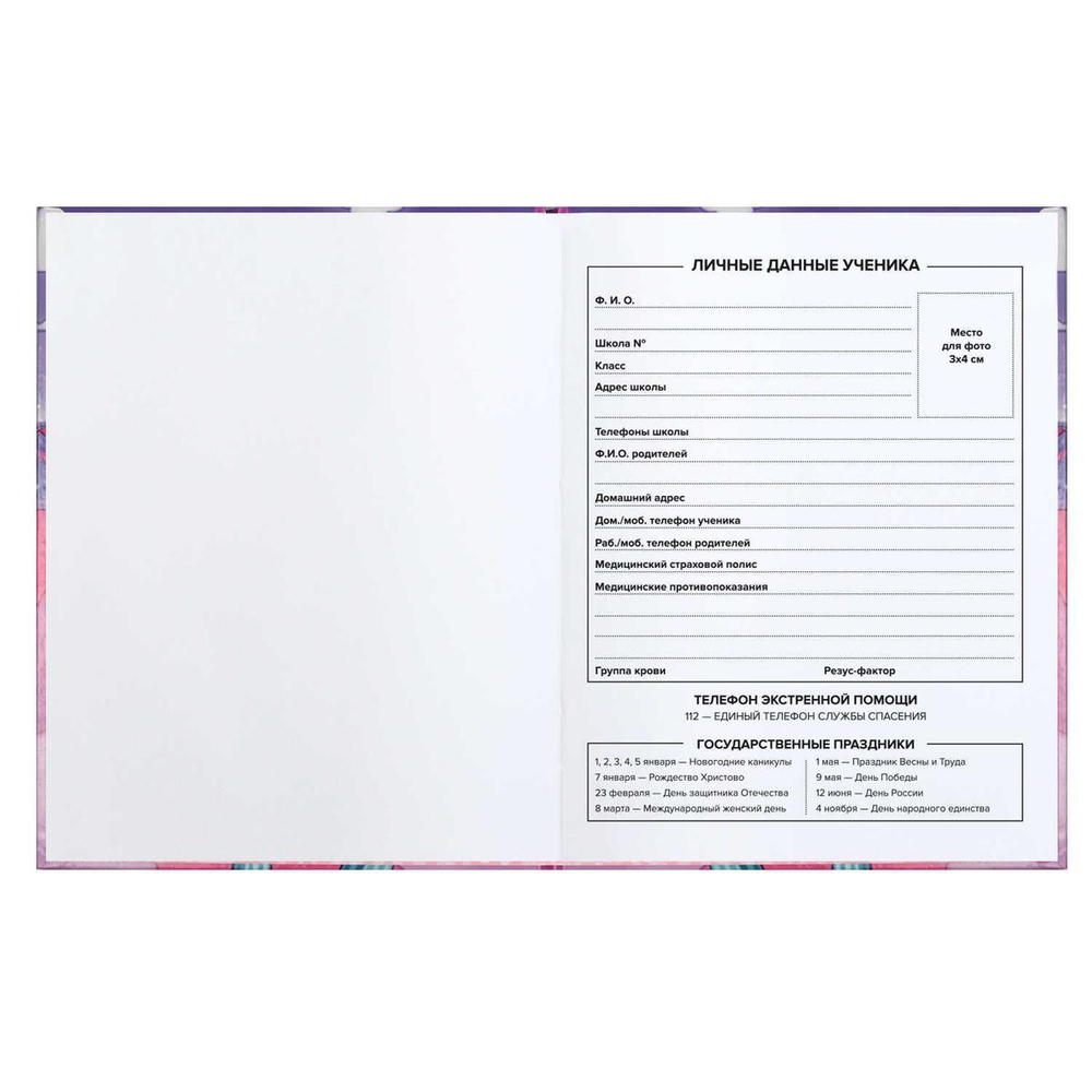 Дневник школьный 48л "Модная девчонка" (Феникс+)