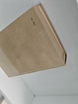 Крестоносцы