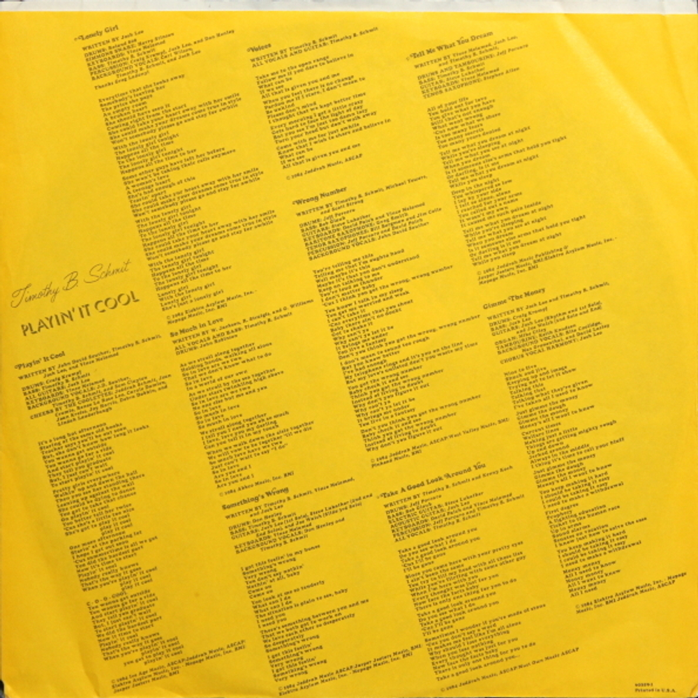 Timothy B. Schmit / Playin' It Cool (LP)