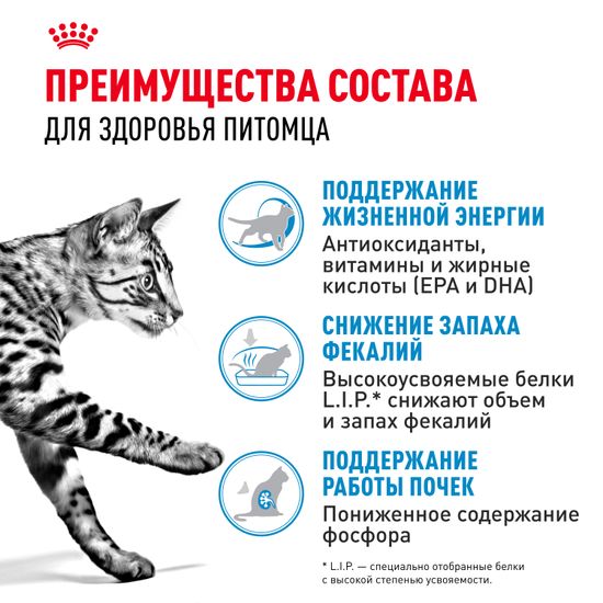 Royal Canin Indoor +7 для пожилых кошек и котов старше 7 лет, живущих в доме