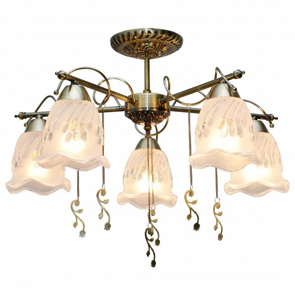 Потолочная люстра TopLight Delia TL1195X-05AB