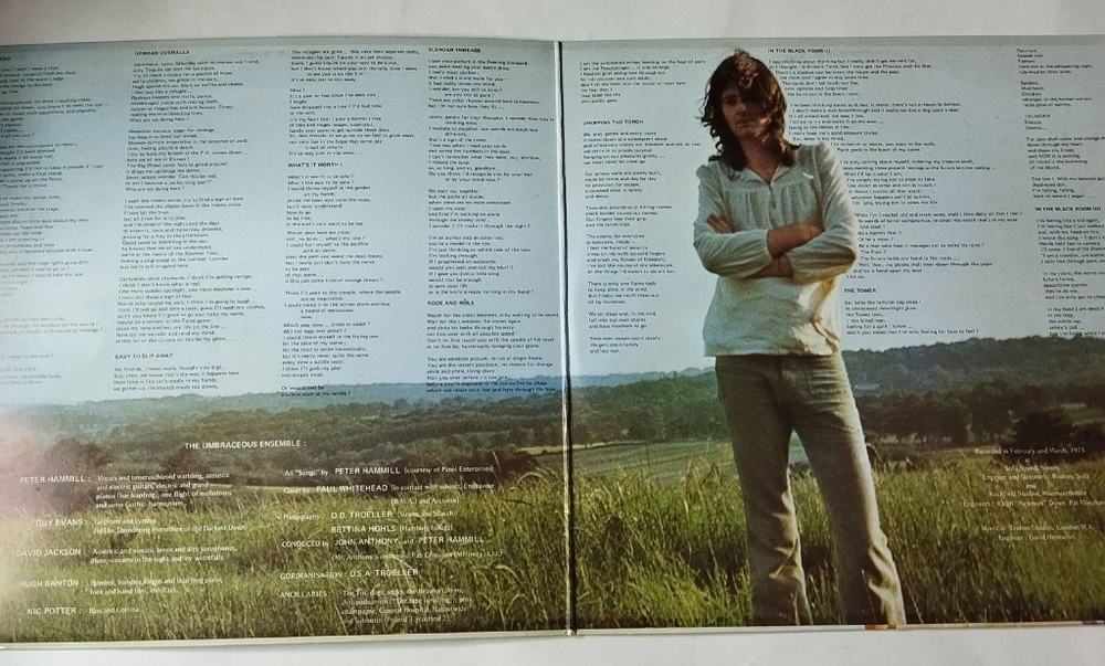 Винтажная виниловая пластинка LP Peter Hammill Chameleon In The Shadow Of The Night (Holland 1973)