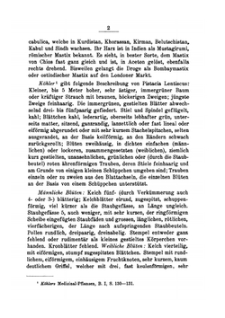 Ueber Mastix, Caricari-Elemi und über verschiedene Gräberharze aus Karthago | Louis Reutter