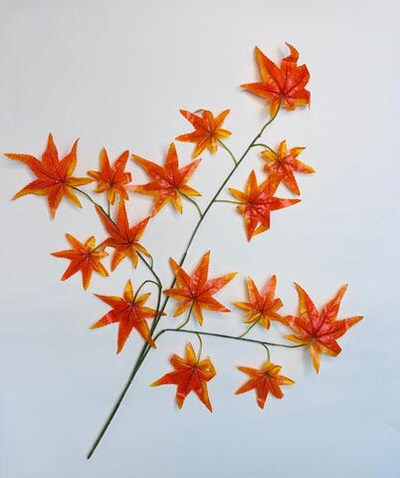 Листья клен