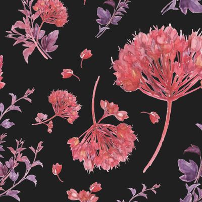 Black - Red - Violet