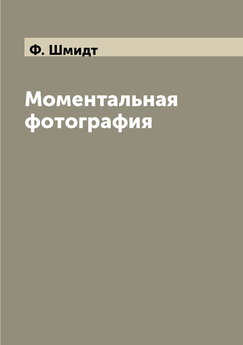 Моментальная фотография | Ф. Шмидт
