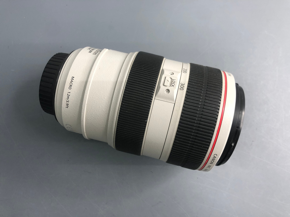 Canon EF 70-300mm 4-5.6L IS USM