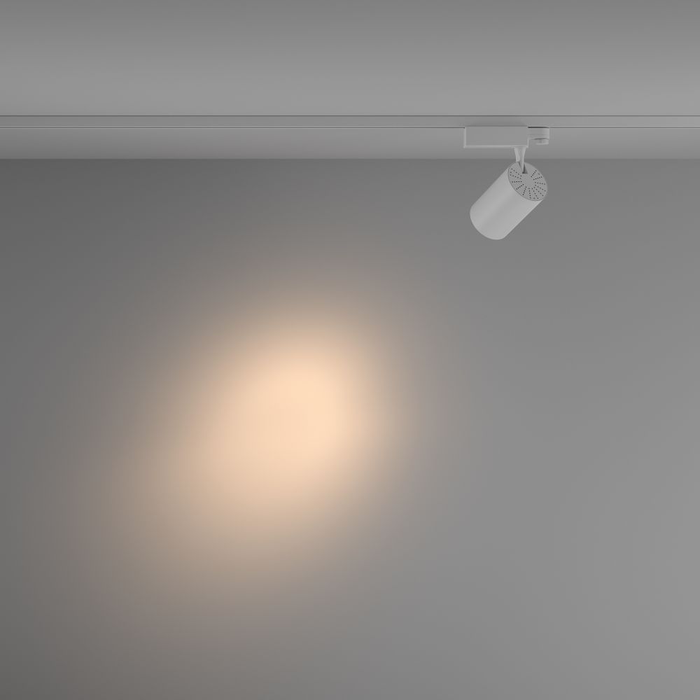 Трековый трехфазный светодиодный светильник Maytoni Trinity Vuoro TR029-3-26W3K-S-W