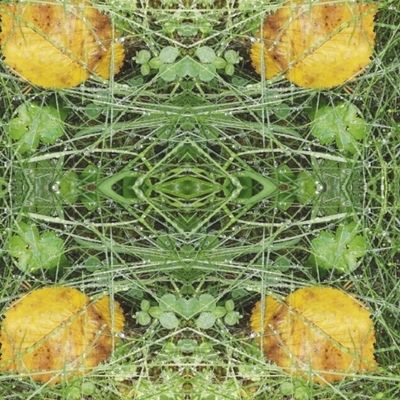 Лесная сказка