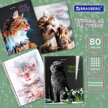 Тетрадь А5 80 л. BRAUBERG, гребень, клетка, глянцевая ламинация,