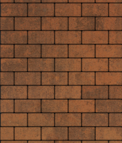 Тротуарная плитка ВЫБОР, форма Прямоугольник 100*200, h=80мм