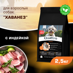 Корм сухой для взрослых собак породы Хаванез, с индейкой, 2,5 кг, QUATTRO