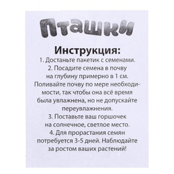 Набор для опытов "Пташки, выращиваем травку"