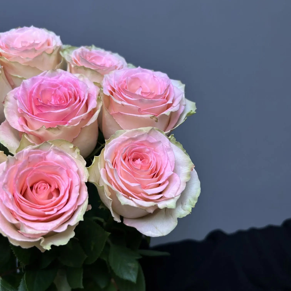 Букет роз 9 штук под ленту (э)