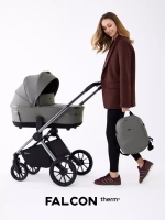 Коляска 2 в 1 Rant Falcon Therm