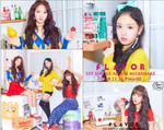 Альбом Flavor - Milkshake 1st Single Album
