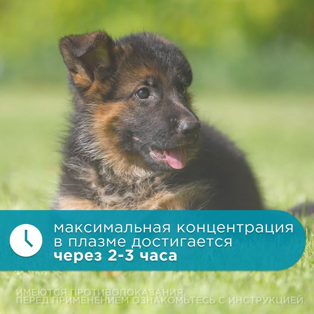 Таблетки для устранения поведенческих расстройств у кошек и собак мелких пород Габитабс 50мг (Apicenna),10таб Габапентин