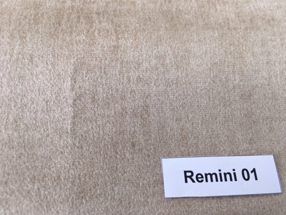 Remini 01