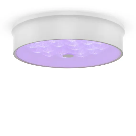 Потолочный светильник FR10011CL-L24W Элементы 24 Вт LED Freya fr10011cl-l24w