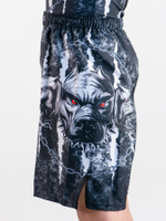 Шорты для MMA Rusco Sport CERBERUS, детские