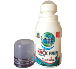 Обезболивающий роликовый бальзам для спины Back Pain Roll