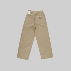 Брюки мужские Dickies Skateboarding Mount Vista Pants