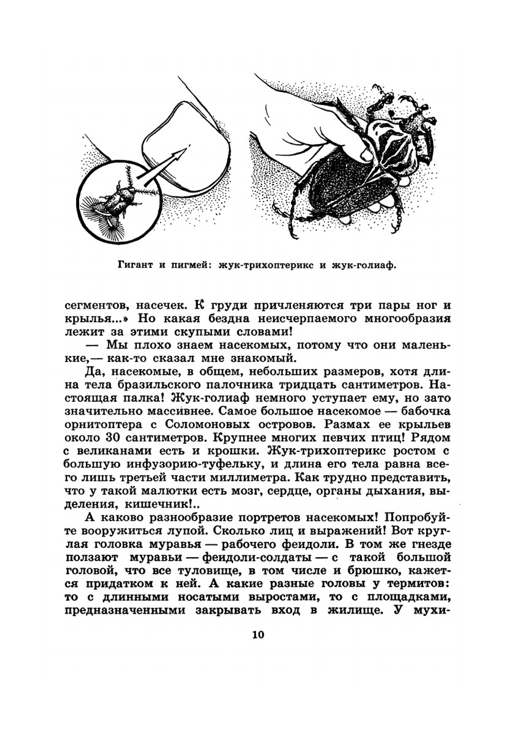 Юному энтомологу | П. И. Мариковский