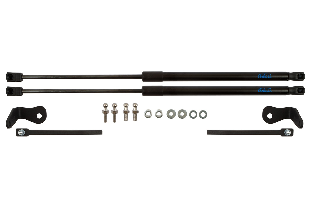 Упоры капота для FORD Focus, 2004-2008, к-т 2 шт , ARBORI.HD.012103