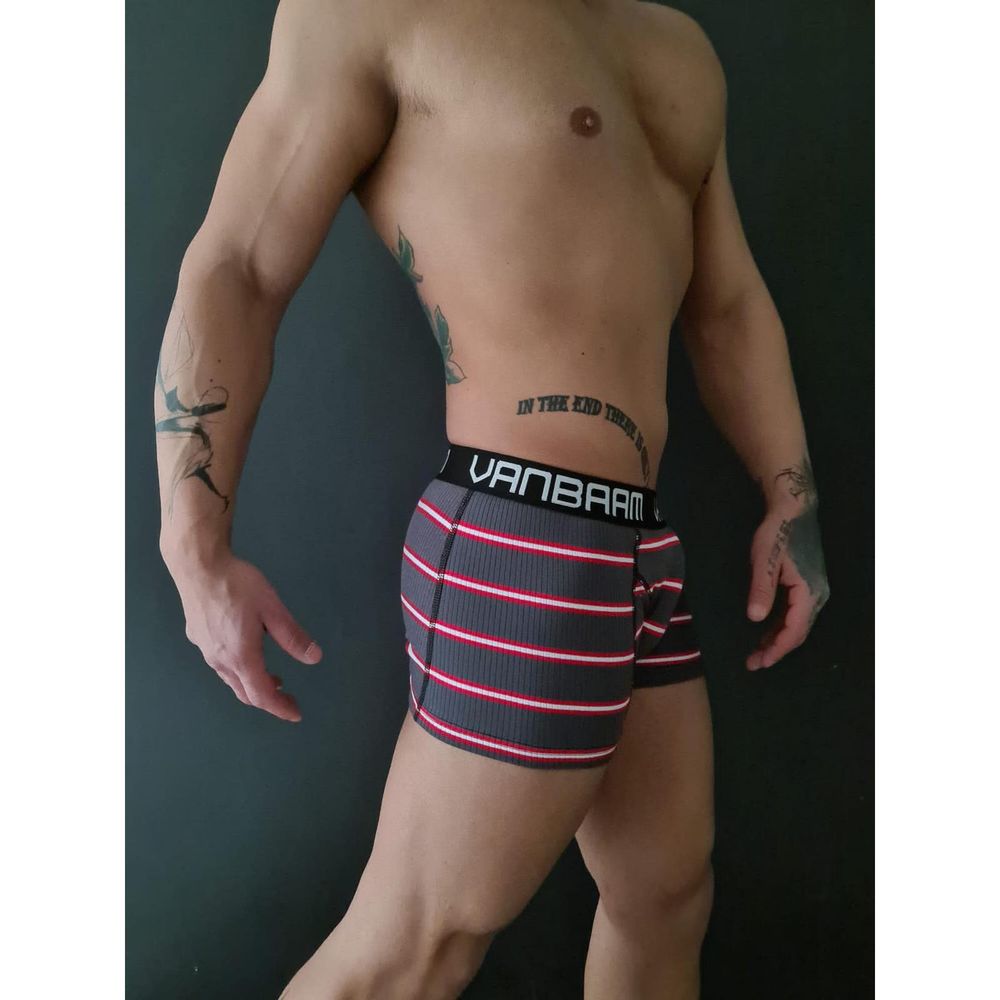 Мужские трусы боксеры темно-серые в полоску Van Baam 48129