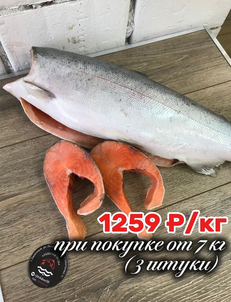 Форель морская с/м 1,8 - 2,7 кг 1259 р/кг