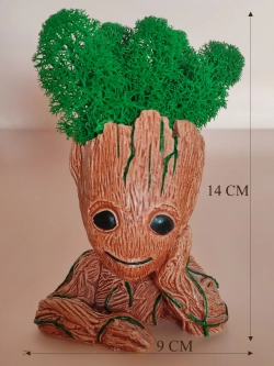 Кашпо органайзер Грут с мхом