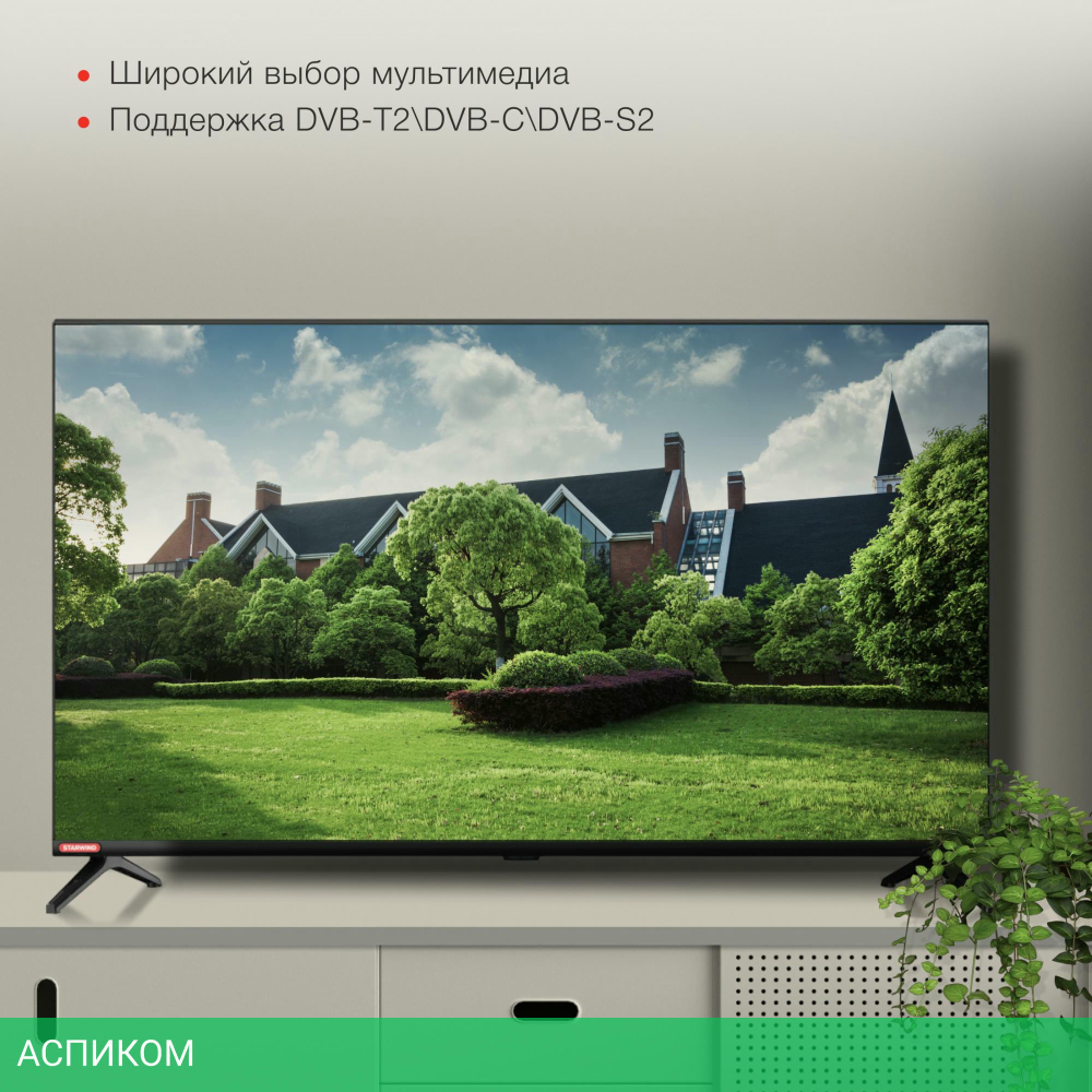 Телевизор StarWind SW-LED40SG300 черный