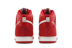 Кроссовки Nike Dunk "First Use"