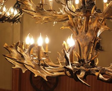 ROLL&HILL Superordinate Antler Chandelier - 4