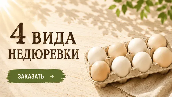 Слайдер Блок 96