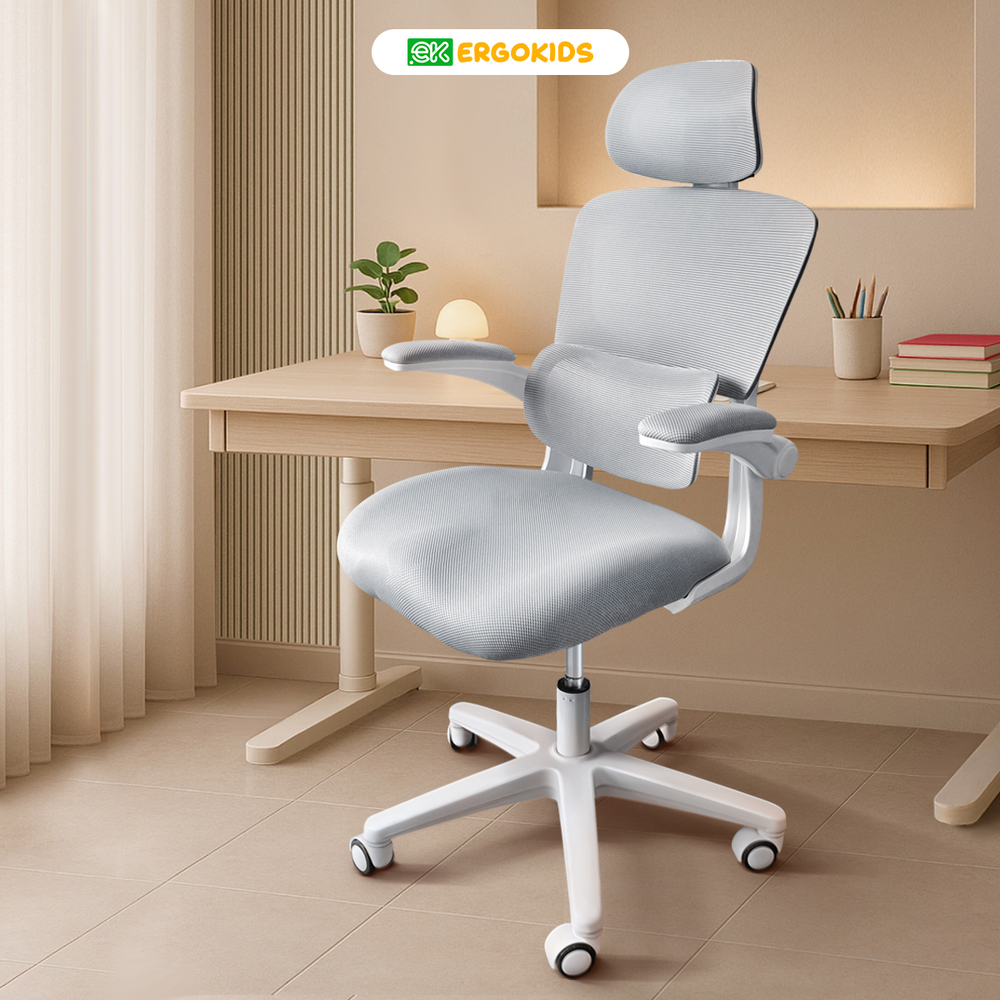 Детское кресло Ergokids Teen (T - 1)