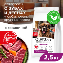 Корм сухой для взрослых собак очень крупных пород, премиум полнорационный комплекс, для заботы зубов и десен, с говядиной, 2,5 кг, QUATTRO