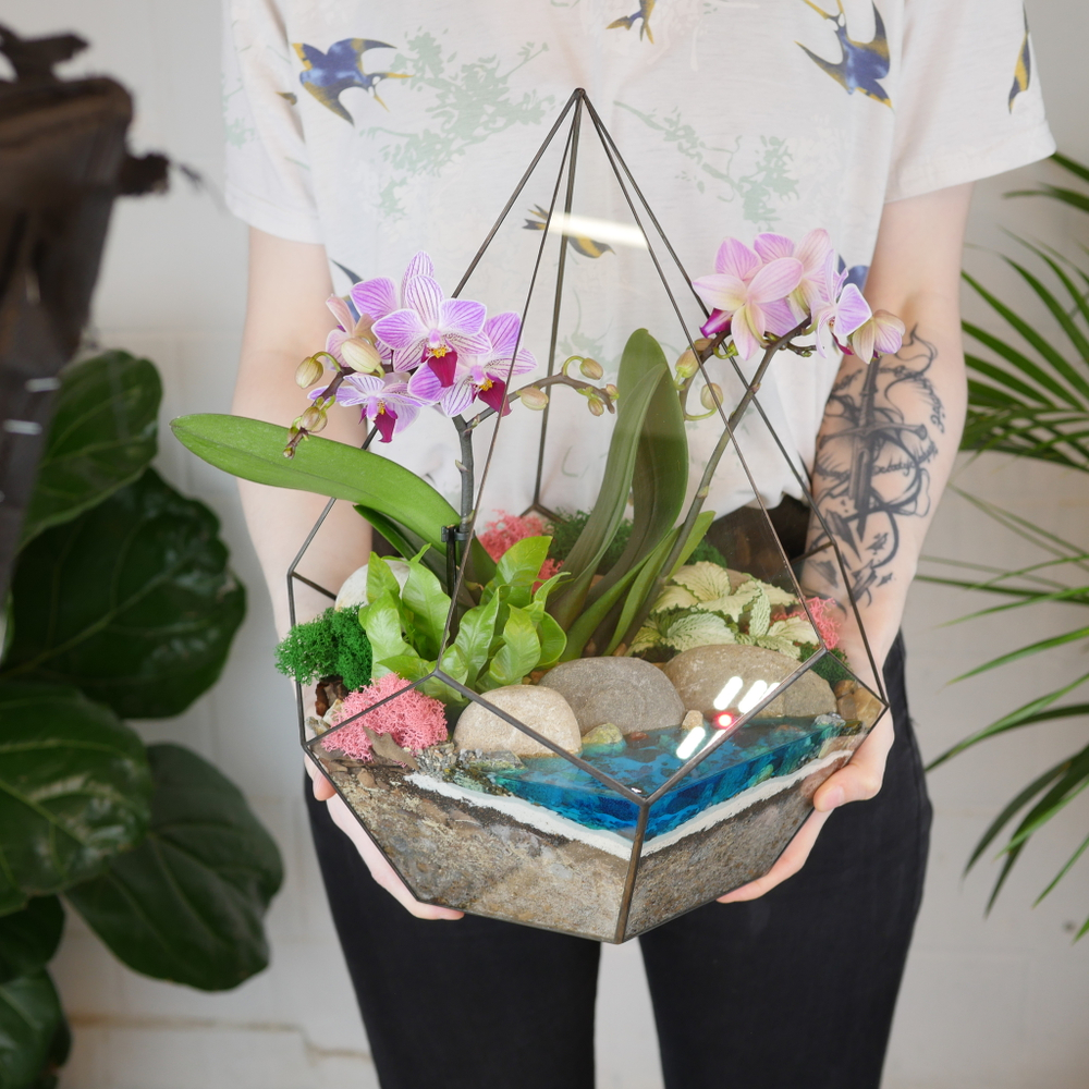 Готовый флорариум с орхидеей Капля XL с озером