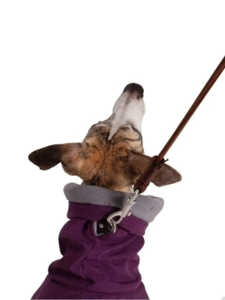 Утепленная попона для собак пород Уиппет Левретка