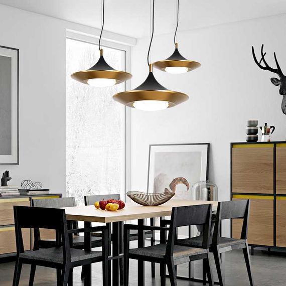 Подвесной светодиодный светильник Imperium Loft Rask 151756-26