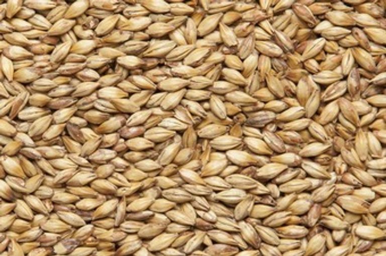 Базовый солод.