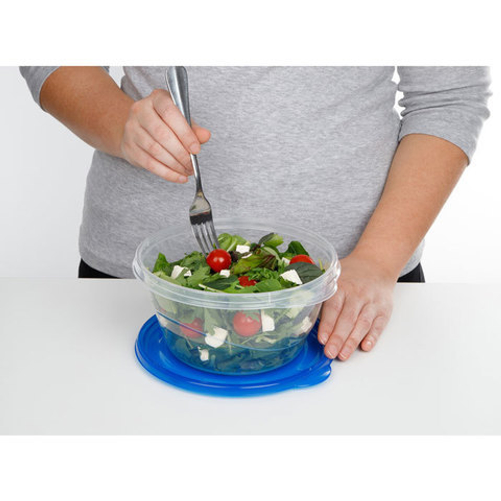 Набор контейнеров 3шт 1.4л Sistema TakeAlongs