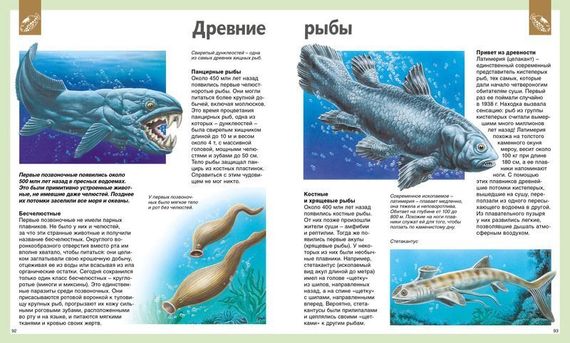 Универсальная школьная энциклопедия