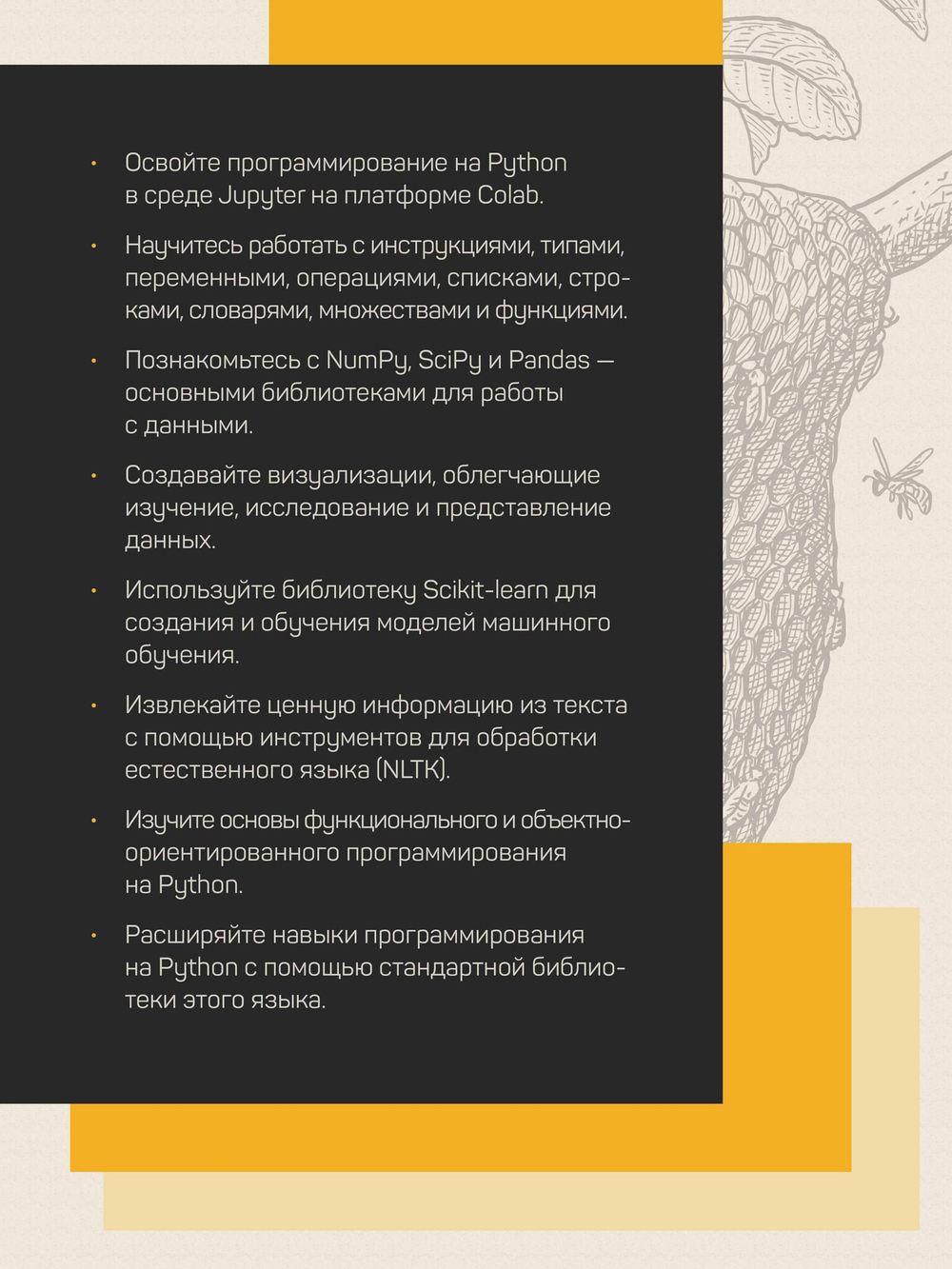 Основы Python для Data Science